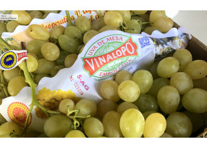 Gastronomía 2